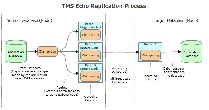 TMS Echo