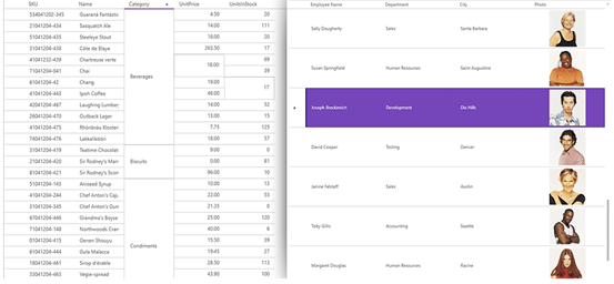 WPF Data Grid