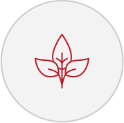image002.png