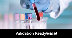 Validation Ready验证包