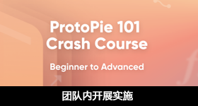 ProtoPie 团队内开展实施