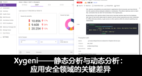 Xygeni——静态分析与动态分析：应用安全领域的关键差异